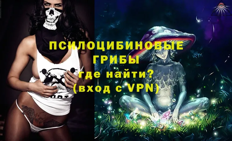 Псилоцибиновые грибы Magic Shrooms  Весьегонск 