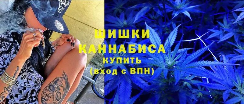 Бошки марихуана LSD WEED  сайты даркнета Telegram  Весьегонск  блэк спрут ССЫЛКА 